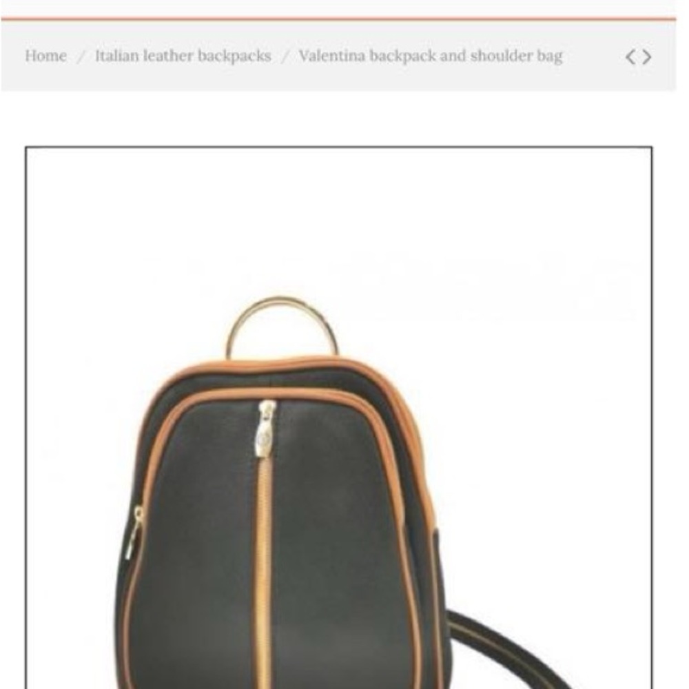 Valentina Dual-Tone Leather Backpack
